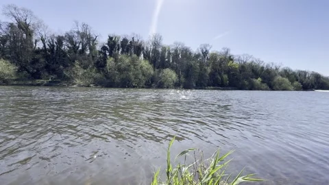 Trent River Stock Footage 306018534