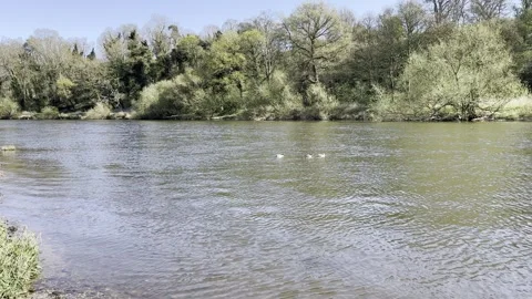 Trent River Stock Footage 306018537