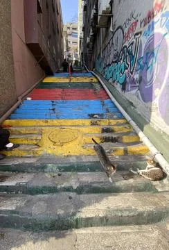  Treppe, bunte Treppenstufen im Stadtteil Beyoglu, Istanbul, Türkei *** St.. Stock Photos