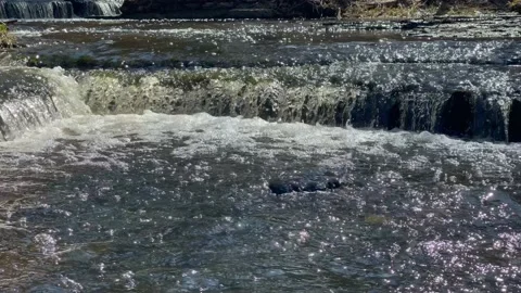 Treppoja cascade river flow with sound Stock Footage 153841454