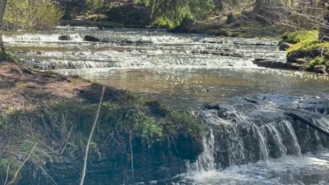Treppoja cascade waterfall in Estonia Stock Footage 153841630