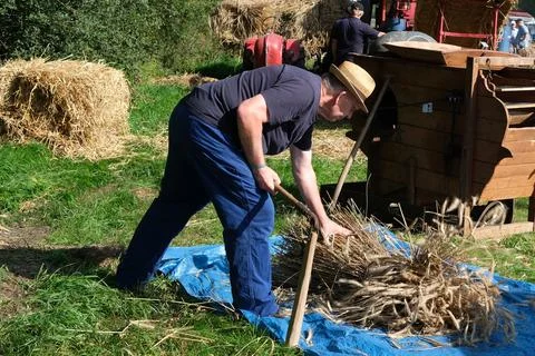 Treshing grain Stock Photos