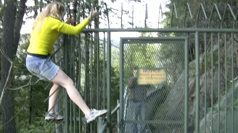 Trespasser Stock Footage 436462