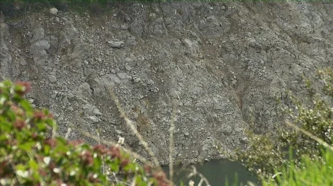 Trespassing 01 Stock-Footage 330298