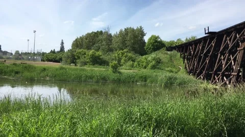 Trestle Bridge - pan shot Stock Footage 137070153