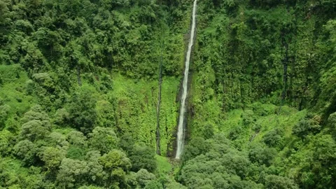 Tretes Waterfall Video stock 205427117