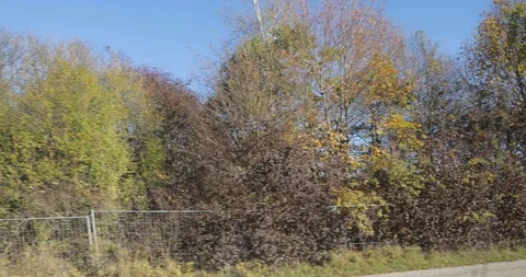 Treveling by train Stock Footage 101543831