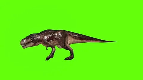T.rex attack green screen animation 3D rendering Stock Footage 279019497