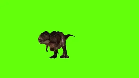 T.rex  attack green screen animation 3D rendering Stock Footage 279019510