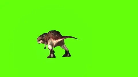 T.rex attack green screen animation 3D rendering Stock Footage 279100214