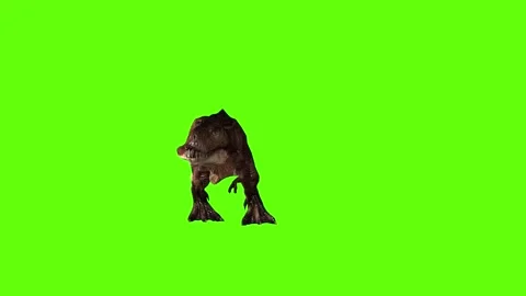 T.rex attack green screen animation 3D rendering Stock Footage 279100307
