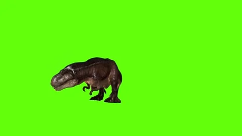 T.rex attack green screen animation 3D rendering Stock Footage 279100323