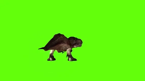 T.rex attack green screen animation 3D rendering Stock Footage 279100999