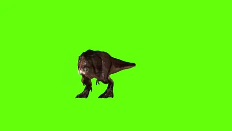 T.rex Bite green screen animation 3D rendering Stock Footage 279100035