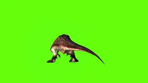 T.rex Bite green screen animation 3D rendering Stock Footage 279100113