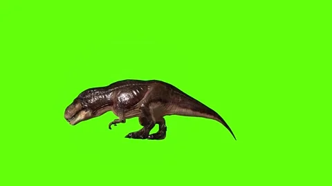 T.rex Bite green screen animation 3D rendering Stock Footage 279100365