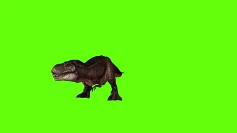T.rex Bite green screen animation 3D rendering Stock Footage 279101076