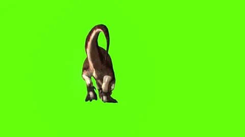 T.rex dinosar mama cave bite out green screen animation 3D rendering Stock Footage 279342762