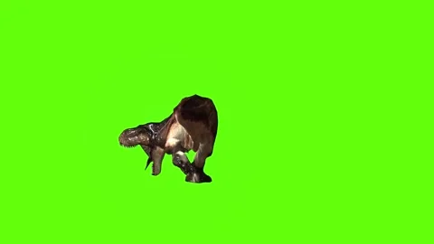T.rex dinosaur chase left roar  green screen animation 3D rendering Video stock 279103542