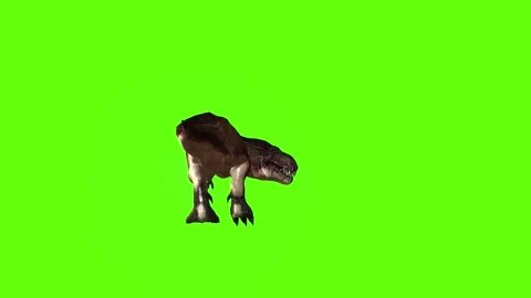 T.rex dinosaur chase right bite  green screen animation 3D rendering Stock Footage 279103538