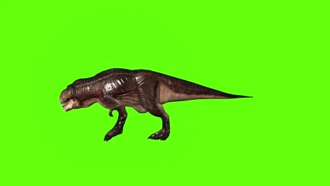 T.rex dinosaur chase right bitegreen screen animation 3D rendering Stock Footage 279103556