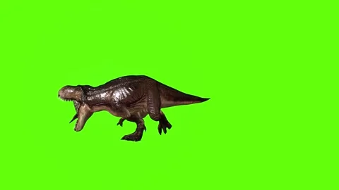 T.rex dinosaur chase right roar  green screen animation 3D rendering Stock Footage 279103555
