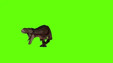T.rex dinosaur chase right roar green screen animation 3D rendering Stock Footage 279103562