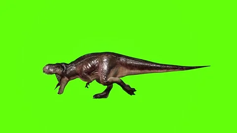 T.rex dinosaur chase roar  green screen animation 3D rendering Stock Footage 279103309