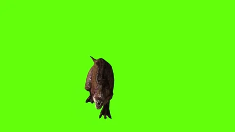 T.rex dinosaur climb up green screen animation 3D rendering Stock Footage 279103348