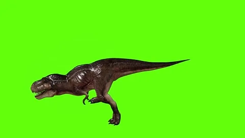T.rex dinosaur climb up  green screen animation 3D rendering Stock Footage 279103355