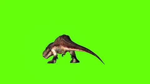T.rex dinosaur close left bite green screen animation 3D rendering Stock Footage 279103317