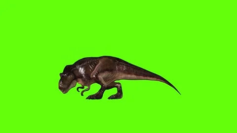 T.rex dinosaur close left bite green screen animation 3D rendering Stock Footage 279103354