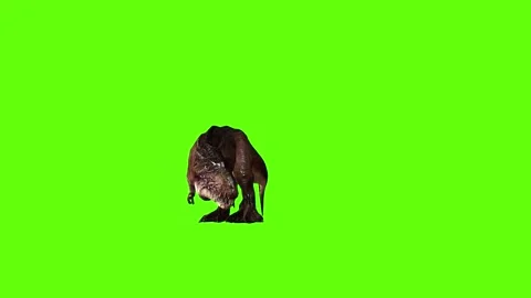 T.rex dinosaur close left bite green screen animation 3D rendering Stock Footage 279103361