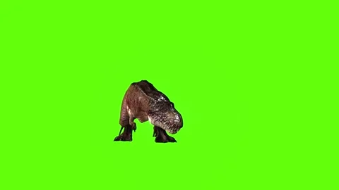 T.rex dinosaur close left bite  green screen animation 3D rendering Stock Footage 279103363
