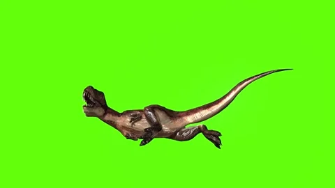 T.rex dinosaur death green screen animation 3D rendering Stock Footage 279103193