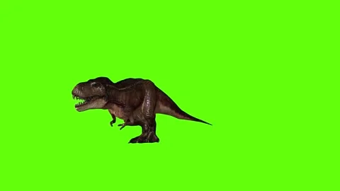 T.rex dinosaur death long green screen animation 3D rendering Stock Footage 279103247
