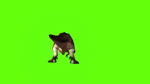 T.rex dinosaur hit head green screen animation 3D rendering Stock Footage 279102800