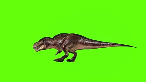 T.rex dinosaur hit head green screen animation 3D rendering Stock Footage 279102815