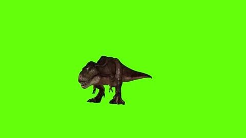 T.rex dinosaur hit head green screen animation 3D rendering Stock Footage 279102827