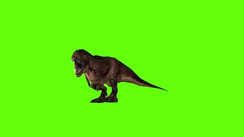 T.rex dinosaur hit head green screen animation 3D rendering Stock Footage 279103190