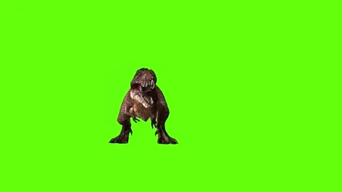 T.rex dinosaur hit head green screen animation 3D rendering Stock Footage 279103200
