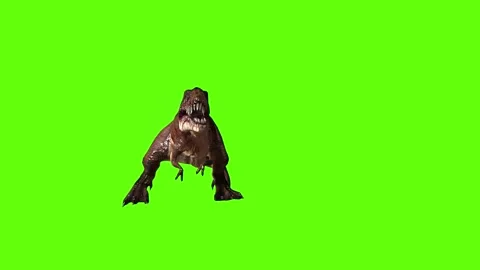 T.rex dinosaur hit head green screen animation 3D rendering Stock Footage 279103240