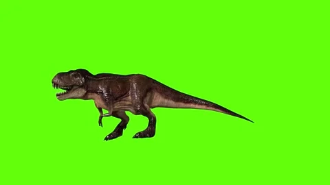 T.rex dinosaur hit head green screen animation 3D rendering Stock Footage 279103243