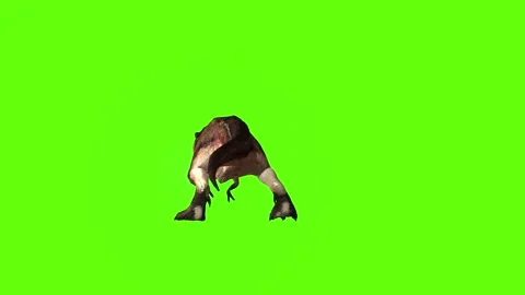 T.rex dinosaur hit head green screen animation 3D rendering Stock Footage 279103256