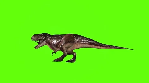 T.rex dinosaur hit head green screen animation 3D rendering Stock Footage 279103262