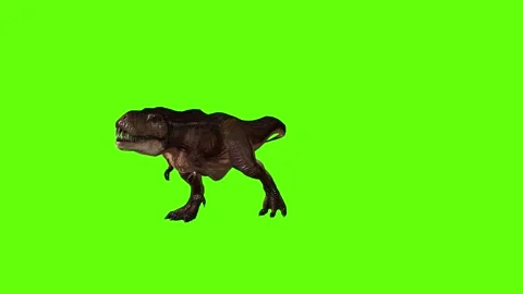 T.rex dinosaur hit leg move green screen animation 3D rendering Stock Footage 279102829