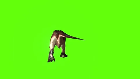 T.rex dinosaur hit leg move green screen animation 3D rendering Stock Footage 279102847