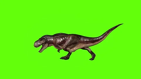 T.rex dinosaur hit leg move green screen animation 3D rendering Stock Footage 279102848