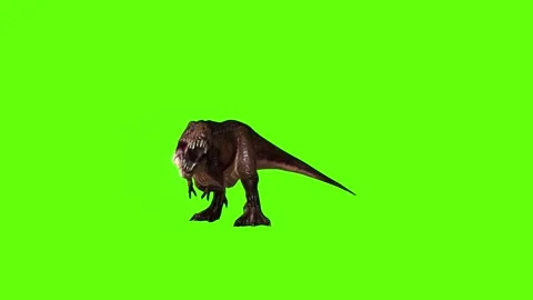 T.rex dinosaur hit tarso left  green screen animation 3D rendering Stock Footage 279102870