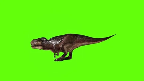T.rex dinosaur hit tarso right  green screen animation 3D rendering Stock Footage 279102629